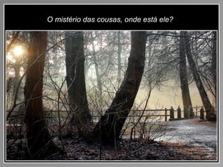 O mistério das cousas, onde está ele?
 