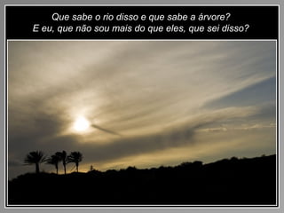 Que sabe o rio disso e que sabe a árvore?
E eu, que não sou mais do que eles, que sei disso?
 