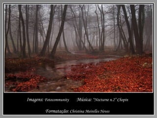 Imagens: Fotocommunity Música: “Nocturne n.2” Chopin
Formatação: Christina Meirelles Neves
 