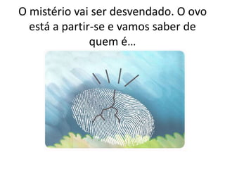 O mistério vai ser desvendado. O ovo
está a partir-se e vamos saber de
quem é…
 