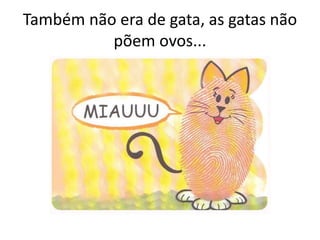 Também não era de gata, as gatas não
põem ovos...
 