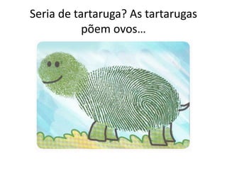 Seria de tartaruga? As tartarugas
põem ovos…
 
