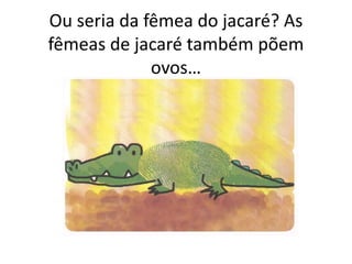 Ou seria da fêmea do jacaré? As
fêmeas de jacaré também põem
ovos…
 