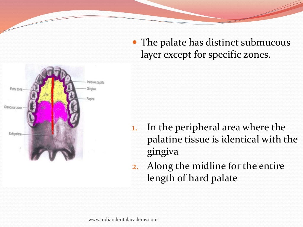 oral mucous membranes2 /certified fixed orthodontic courses by India…