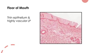 INTRODUCTION TO ORAL MUCOUS MEMBRANE - DR. DEEPTHI K | PPTX