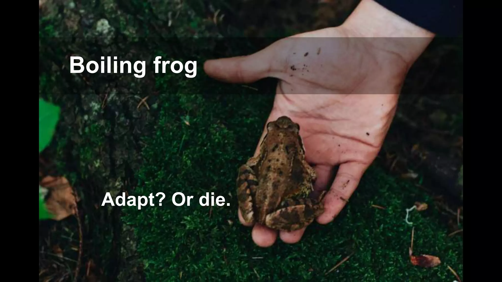 Adapt? Or die.
Boiling frog
 