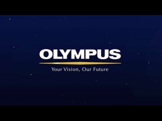 OmniScan SX Overview