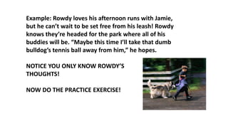 Rowdy Example Omniscient point of view pt | PPTX