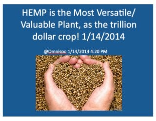 Hemp is a trillion dollar crop!!