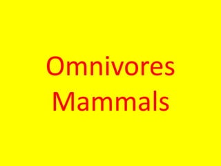 Omnivores
Mammals
 