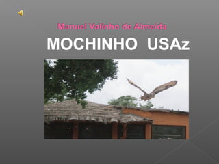 MOCHINHO USAz
 