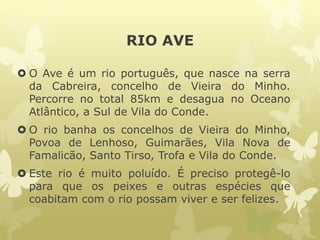 RIO AVE
 O Ave é um rio português, que nasce na serra
da Cabreira, concelho de Vieira do Minho.
Percorre no total 85km e desagua no Oceano
Atlântico, a Sul de Vila do Conde.
 O rio banha os concelhos de Vieira do Minho,
Povoa de Lenhoso, Guimarães, Vila Nova de
Famalicão, Santo Tirso, Trofa e Vila do Conde.
 Este rio é muito poluído. É preciso protegê-lo
para que os peixes e outras espécies que
coabitam com o rio possam viver e ser felizes.
 
