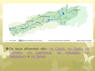  Os seus afluentes são: rio Cabril, rio Caldo, rio
Homem, rio Labriosca, rio Rabagão, rio
Saltadouro e rio Tamel.
.
 