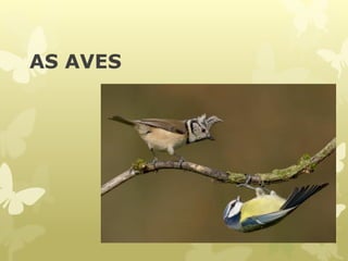 AS AVES
 