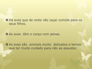  Há aves que de noite vão caçar comida para os
seus filhos.
 As aves têm o corpo com penas.
 As aves são animais muito delicados e temos
que ter muito cuidado para não as assustar.
 