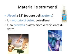Materiali e strumenti
• Alcool a 95° (oppure dell'acetone)
• Un mortaio di vetro, porcellana
• Una provetta o altro piccolo recipiente di
vetro.
 