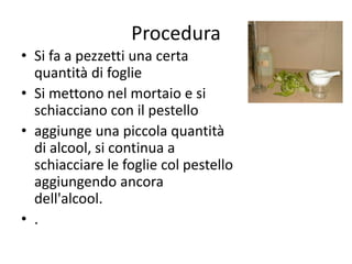 Procedura
• Si fa a pezzetti una certa
quantità di foglie
• Si mettono nel mortaio e si
schiacciano con il pestello
• aggiunge una piccola quantità
di alcool, si continua a
schiacciare le foglie col pestello
aggiungendo ancora
dell'alcool.
• .
 