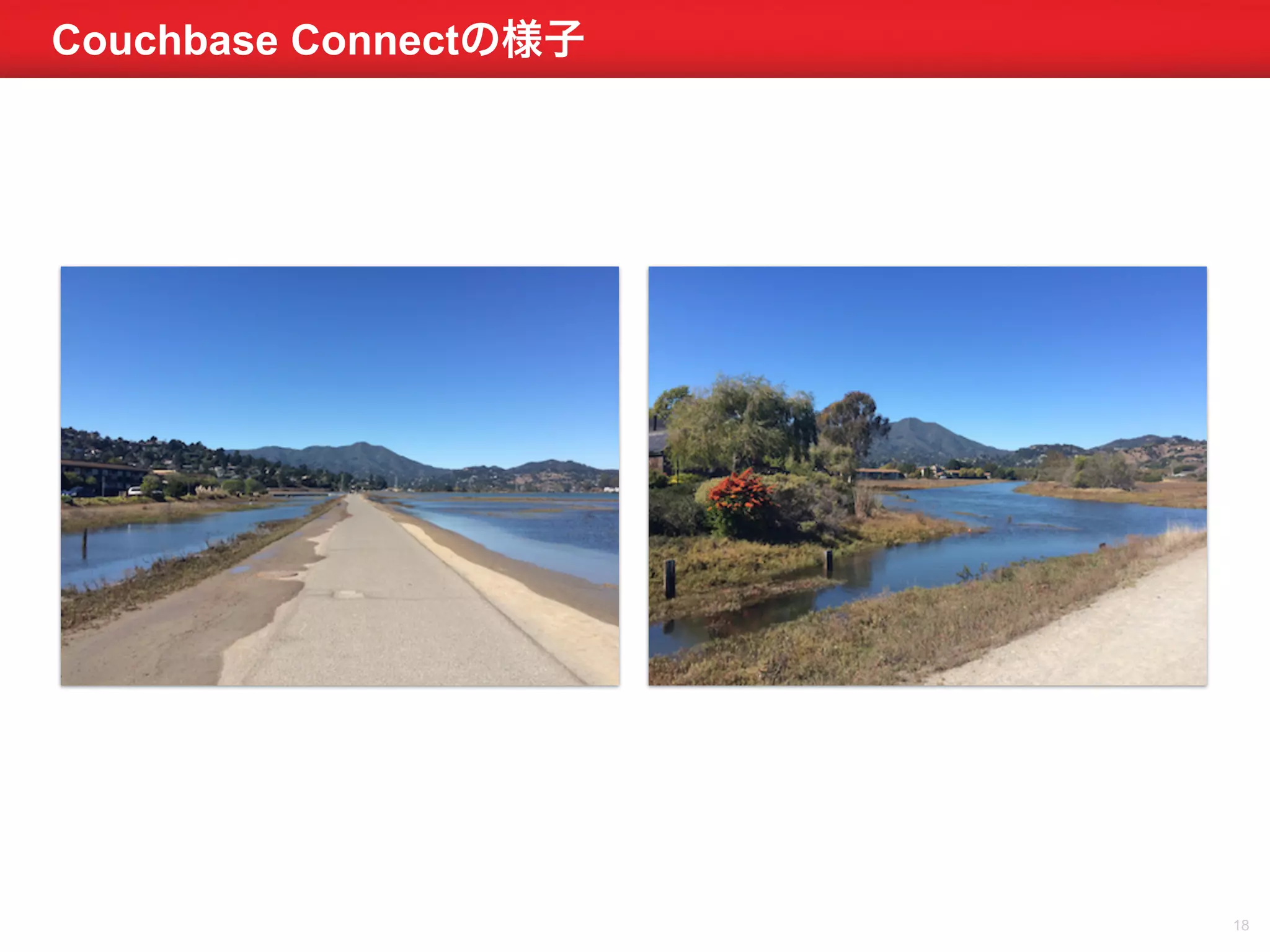 Couchbase Connectの様子 
18 
 