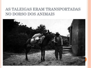 AS TALEIGAS ERAM TRANSPORTADAS NO DORSO DOS ANIMAIS 