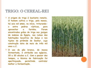TRIGO: O CEREAL-REI  A origem do trigo é bastante remota. O homem cultiva o trigo, pelo menos, há seis mil  anos , no início, triturando-o entre pedras rústicas, para aproveitar a farinha. Foram encontrados grãos de trigo nos jazigos de múmias do Egipto, nas ruínas das habitações lacustres da Suíça e nos tijolos da pirâmide de Dashur, cuja construção data de mais de três mil anos a.C. O uso do pão branco, de massa fermentada, é atribuído aos egípcios, 20 a 30 séculos a.C. Com o passar dos tempos, a técnica de fabricação foi aperfeiçoada, permitindo controlar melhor a fermentação. 