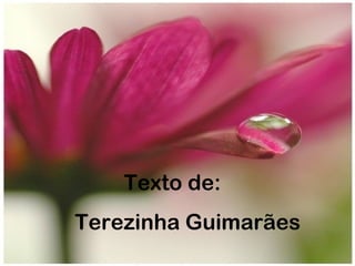 Texto de:
Terezinha Guimarães
 