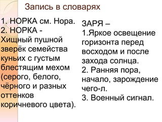 Запись в словарях
1. НОРКА см. Нора.    ЗАРЯ –
2. НОРКА -            1.Яркое освещение
Хищный пушной         горизонта перед
зверёк семейства      восходом и после
куньих с густым       захода солнца.
блестящим мехом       2. Ранняя пора,
(серого, белого,      начало, зарождение
чёрного и разных      чего-л.
оттенков              3. Военный сигнал.
коричневого цвета).
 