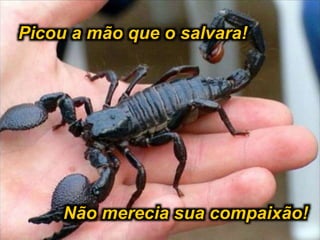 Picou a mão que o salvara!
Não merecia sua compaixão!
 