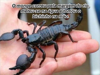 O monge correu pela margem do rio,
meteu-se na água e tomou o
bichinho na mão.
 