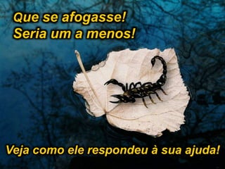 Que se afogasse!
Seria um a menos!
Veja como ele respondeu à sua ajuda!
 