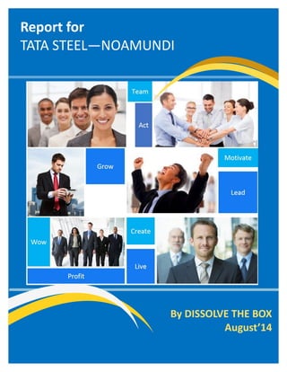 Report for TATA STEEL—NOAMUNDI 
By DISSOLVE THE BOX 
August’14  