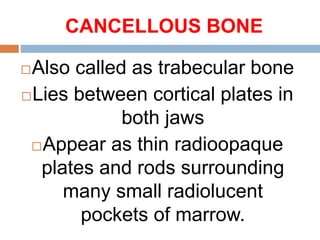 CANCELLOUS BONE
Also called as trabecular bone
Lies between cortical plates in
both jaws
Appear as thin radioopaque
plates and rods surrounding
many small radiolucent
pockets of marrow.
 