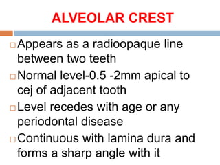 ALVEOLAR CREST
 Appears as a radioopaque line
between two teeth
 Normal level-0.5 -2mm apical to
cej of adjacent tooth
 Level recedes with age or any
periodontal disease
 Continuous with lamina dura and
forms a sharp angle with it
 