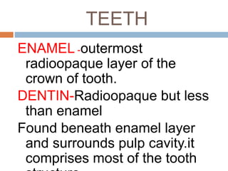 TEETH
ENAMEL -outermost
radioopaque layer of the
crown of tooth.
DENTIN-Radioopaque but less
than enamel
Found beneath enamel layer
and surrounds pulp cavity.it
comprises most of the tooth
 