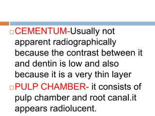 CEMENTUM-Usually not
apparent radiographically
because the contrast between it
and dentin is low and also
because it is a very thin layer
PULP CHAMBER- it consists of
pulp chamber and root canal.it
appears radiolucent.
 
