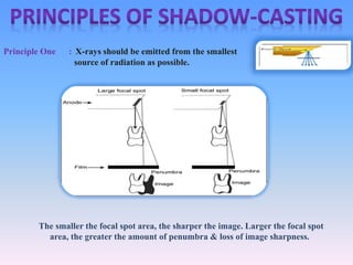 Principle One : X-rays should be emitted from the smallest 
source of radiation as possible. 
The smaller the focal spot area, the sharper the image. Larger the focal spot 
area, the greater the amount of penumbra & loss of image sharpness. 
 