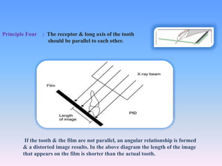 PRINCIPLES OF SHADOW CASTING | PPTX