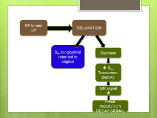 BH+ longitudinal
returned to
original
Dephase
RELAXATION
RF turned
off
 BH+
Transverse-
DECAY
MR signal

FREE
INDUCTION
DECAY SIGNAL
 
