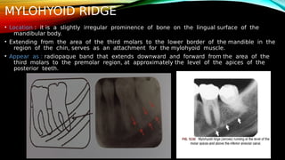OMR_PRESENTATION[1] - Read-Only (2).pdf
