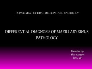 DEPARTMENT OF ORAL MEDICINE AND RADIOLOGY 
DIFFERENTIAL DIAGNOSIS OF MAXILLARY SINUS 
PATHOLOGY 
Presented by, 
Shiji margaret 
BDS-cRRI 
 