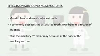 EFFECTS ON SURROUNDING STRUCTURES
• May displace and resorb adjacent teeth
• It commonly displaces the associated tooth away from its direction of
eruption
• Thus the maxillary 3rd molar may be found at the floor of the
maxillary antrum
 