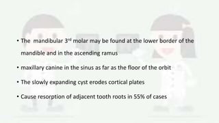 • The mandibular 3rd molar may be found at the lower border of the
mandible and in the ascending ramus
• maxillary canine in the sinus as far as the floor of the orbit
• The slowly expanding cyst erodes cortical plates
• Cause resorption of adjacent tooth roots in 55% of cases
 