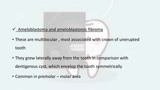  Ameloblastoma and ameloblastomic fibroma
• These are multilocular , most associated with crown of unerupted
tooth
• They grow laterally away from the tooth in comparison with
dentigerous cyst, which envelop the tooth symmetrically
• Common in premolar – molar area
 
