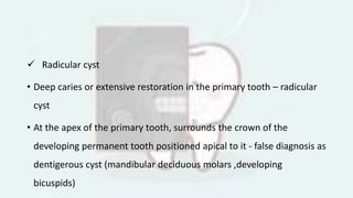  Radicular cyst
• Deep caries or extensive restoration in the primary tooth – radicular
cyst
• At the apex of the primary tooth, surrounds the crown of the
developing permanent tooth positioned apical to it - false diagnosis as
dentigerous cyst (mandibular deciduous molars ,developing
bicuspids)
 