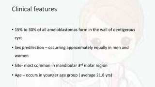 Clinical features
• 15% to 30% of all ameloblastomas form in the wall of dentigerous
cyst
• Sex predilection – occurring approximately equally in men and
women
• Site- most common in mandibular 3rd molar region
• Age – occurs in younger age group ( average 21.8 yrs)
 