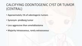 CALCIFYING ODONTOGENIC CYST OR TUMOR
(CENTRAL)
• Approximately 1% of odontogenic tumors
• Synonym- pindborg tumor
• Less aggressive than ameloblastoma
• Majority Intraosseous, rarely extraosseous
 