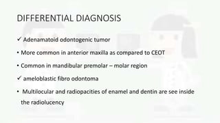 DIFFERENTIAL DIAGNOSIS
 Adenamatoid odontogenic tumor
• More common in anterior maxilla as compared to CEOT
• Common in mandibular premolar – molar region
 ameloblastic fibro odontoma
• Multilocular and radiopacities of enamel and dentin are see inside
the radiolucency
 