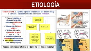 ETIOLOGÍA
Función de la T.E. es equilibrar la presión del oído medio con la Patm, drenaje
de secreción y protección de mucosa a través de la ventilación.
 Proceso infeccioso o
alérgico c/congestión
mucosa de rinofaringe y
T.E.
 Obstrucción del istmo
tubárico
 P(-) del oído medio
c/retracción de la M.T.
 ↑CO2, N ↓ O2
 Hiperemia c/edema de
mucosa y trasudado líquido
 OMS estéril c/derrame en
oído medio (completo)
Paso de gérmenes de la faringe al oído medio Presencia de IgA
 