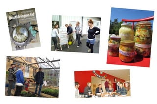 Omstallningsresan presentation fhsk2