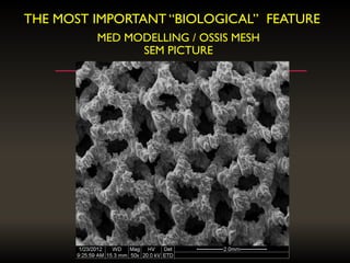 MED MODELLING / OSSIS MESH
SEM PICTURE
THE MOST IMPORTANT “BIOLOGICAL” FEATURE
 