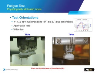 30
Fatigue Test
Physiologically Motivated Inputs
• Test Orientations
– 41% & 45% Gait Positions for Tibia & Talus assemblies
– Apply axial load
– 10 Mc test
Dharia et al, World Congress of Biomechanics, 2014
Tibia Talus
 